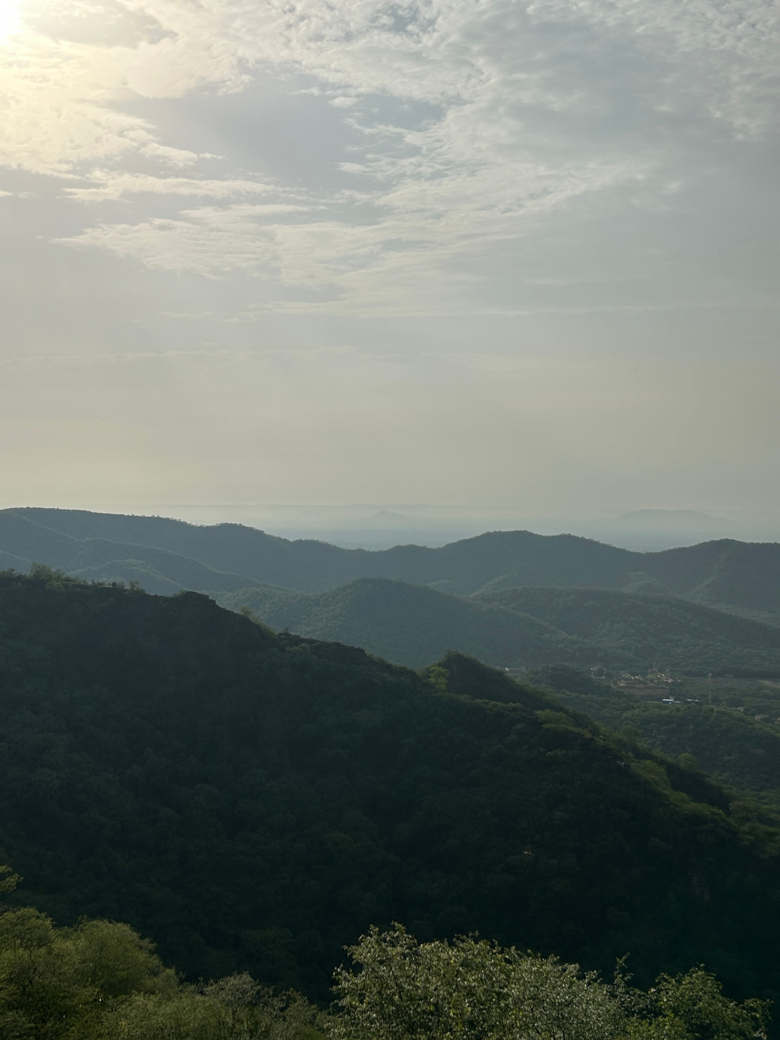 Mountain Mist