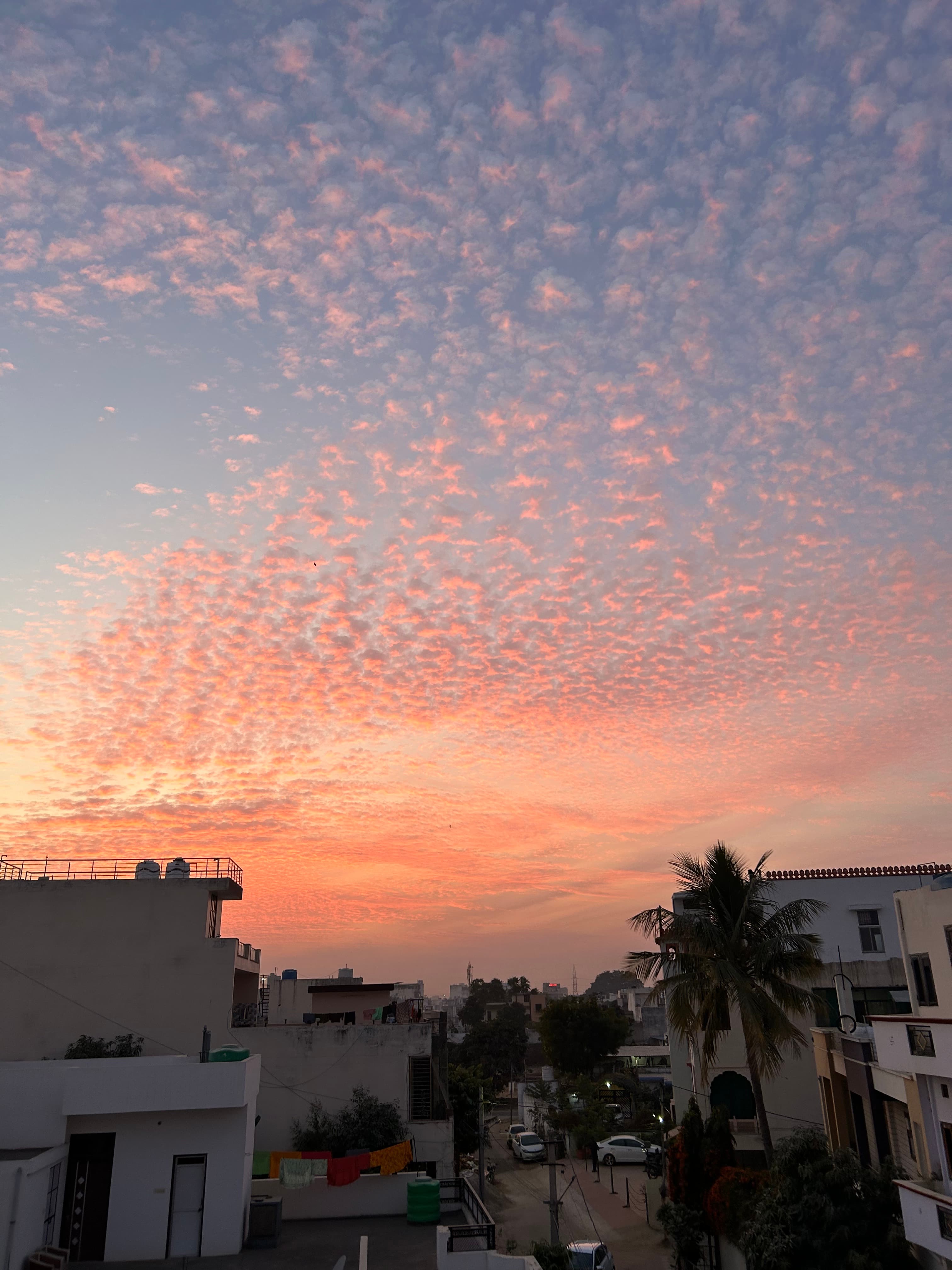 Cotton Candy Skies