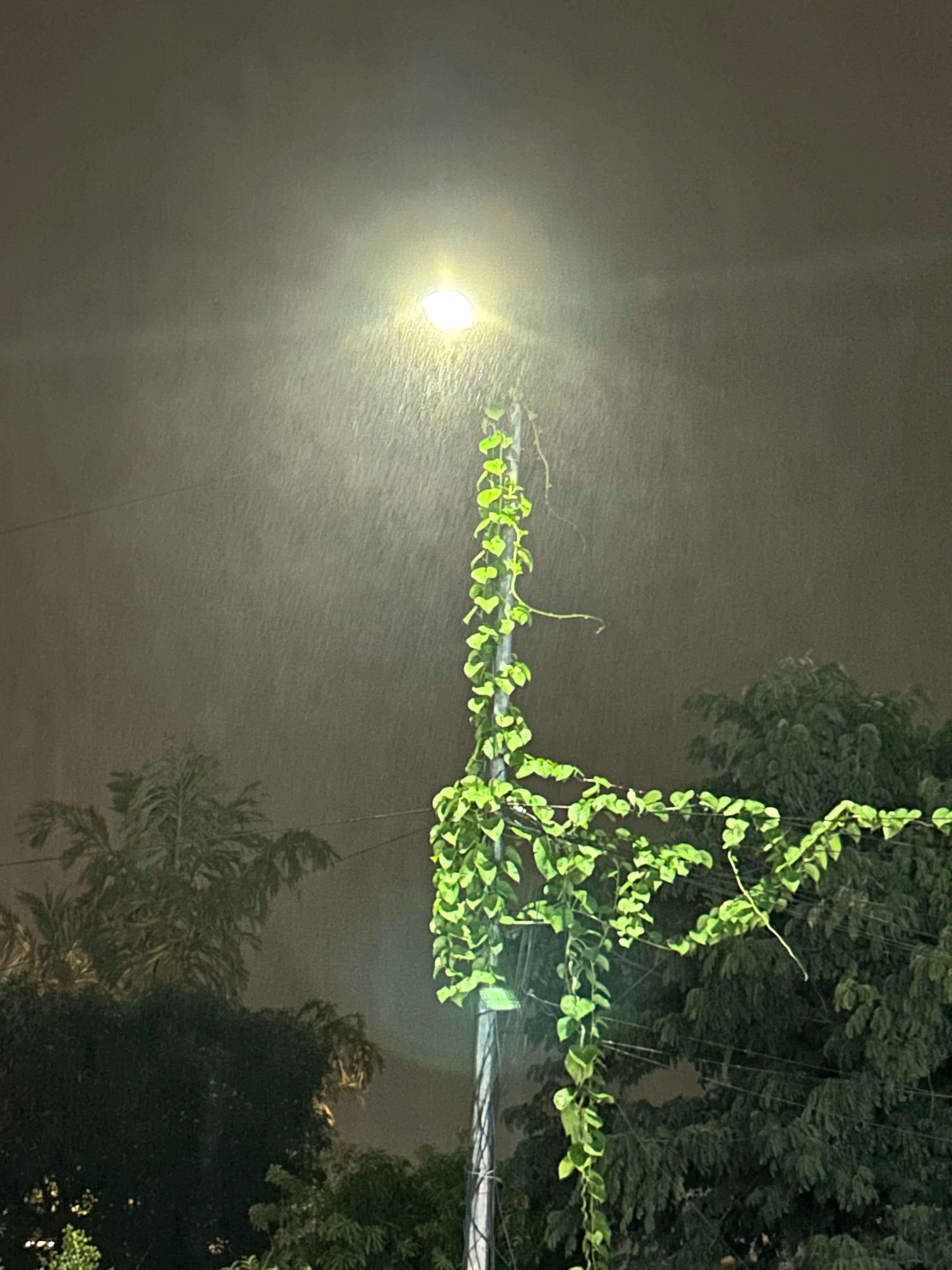 Neon Rain